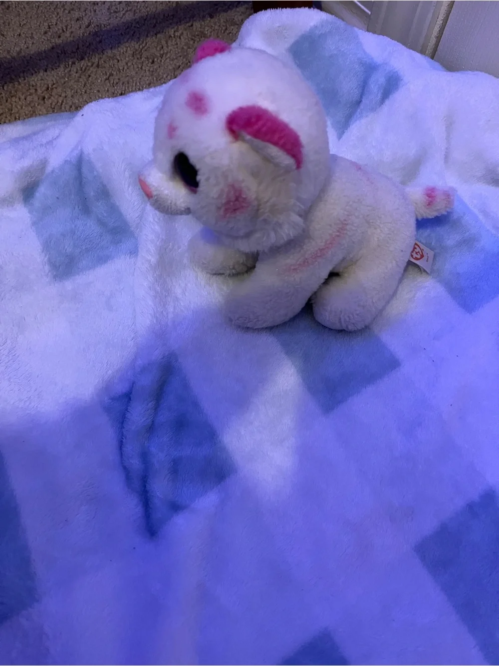 Ty Plush Pet Set -Multicolor Beanie Buddies ALL OFFERS EXPECTED ASAP!!!!!